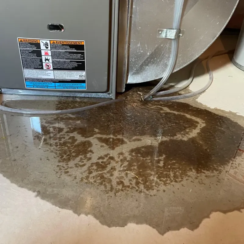 Appliance Leak Cleanup in Dickens County, TX